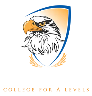 rayden.webplogo